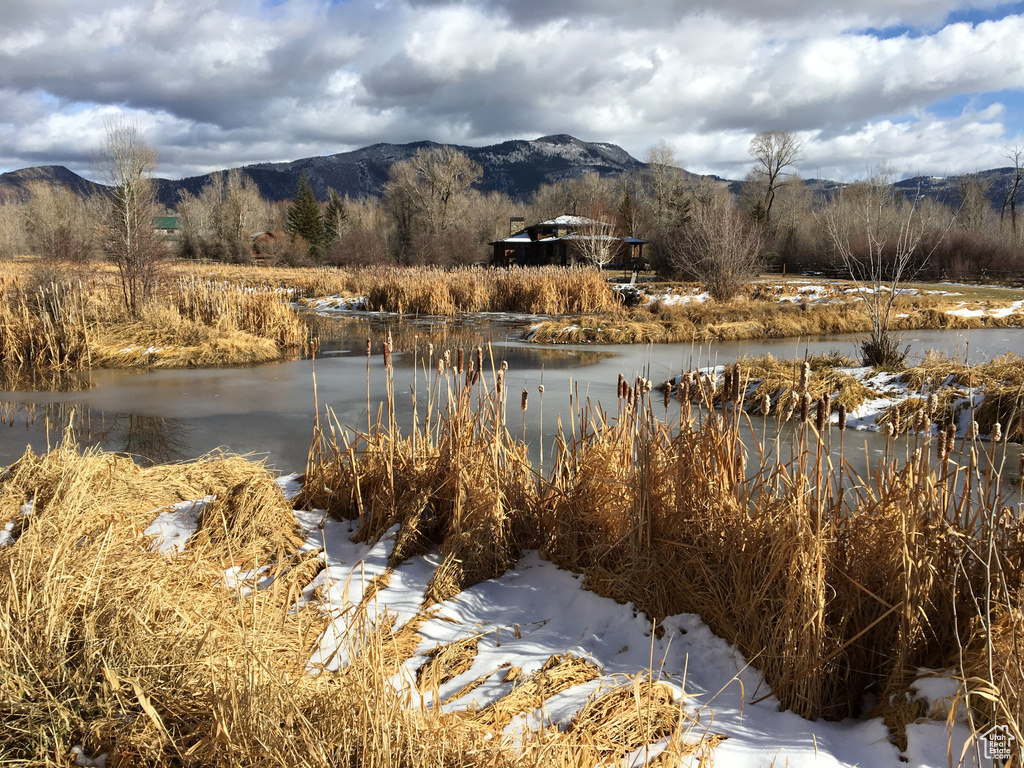 4445 N MILLRACE RD Oakley, UT 84055