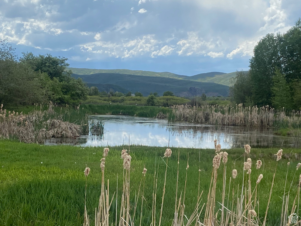 4445 N MILLRACE RD Oakley, UT 84055