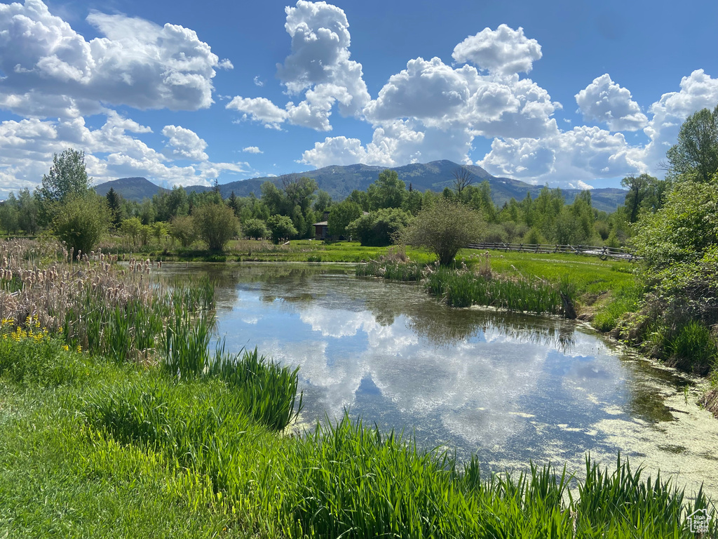4445 N MILLRACE RD Oakley, UT 84055