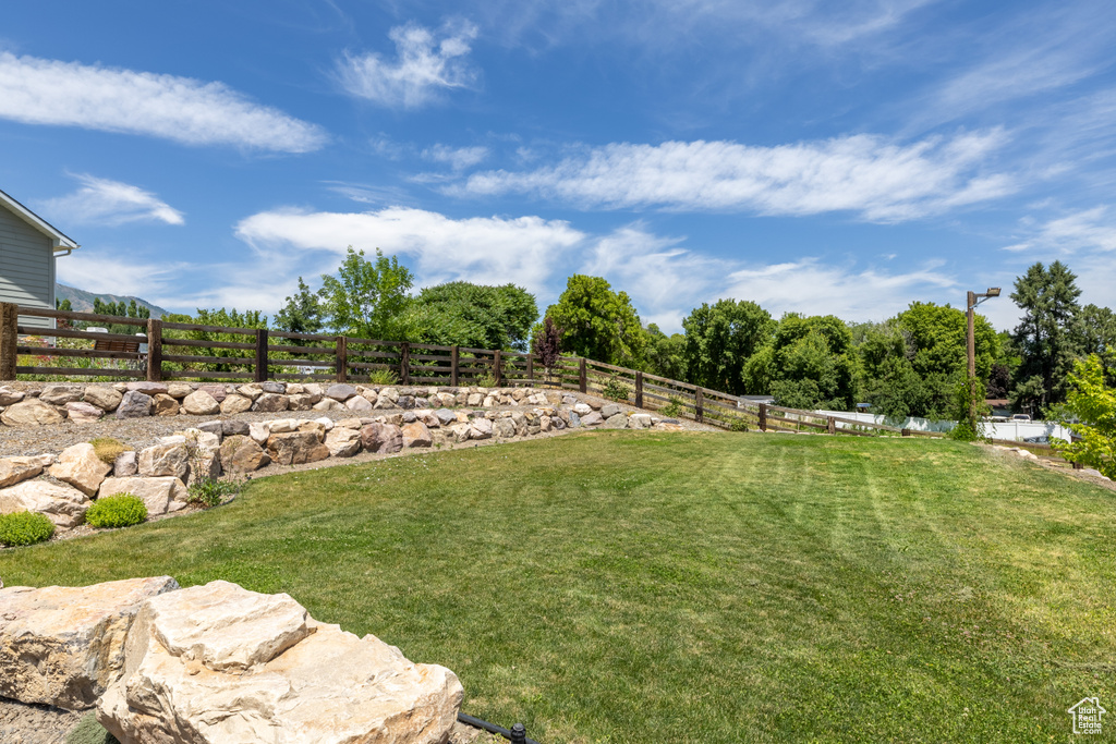 View of yard