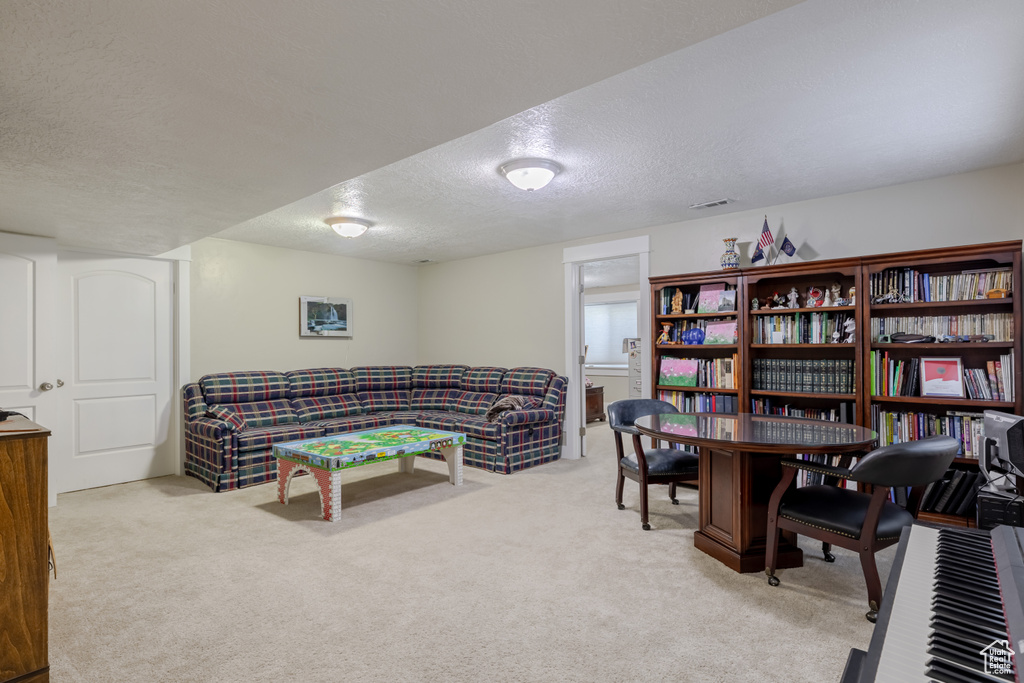 Office with a textured ceiling and carpet flooring