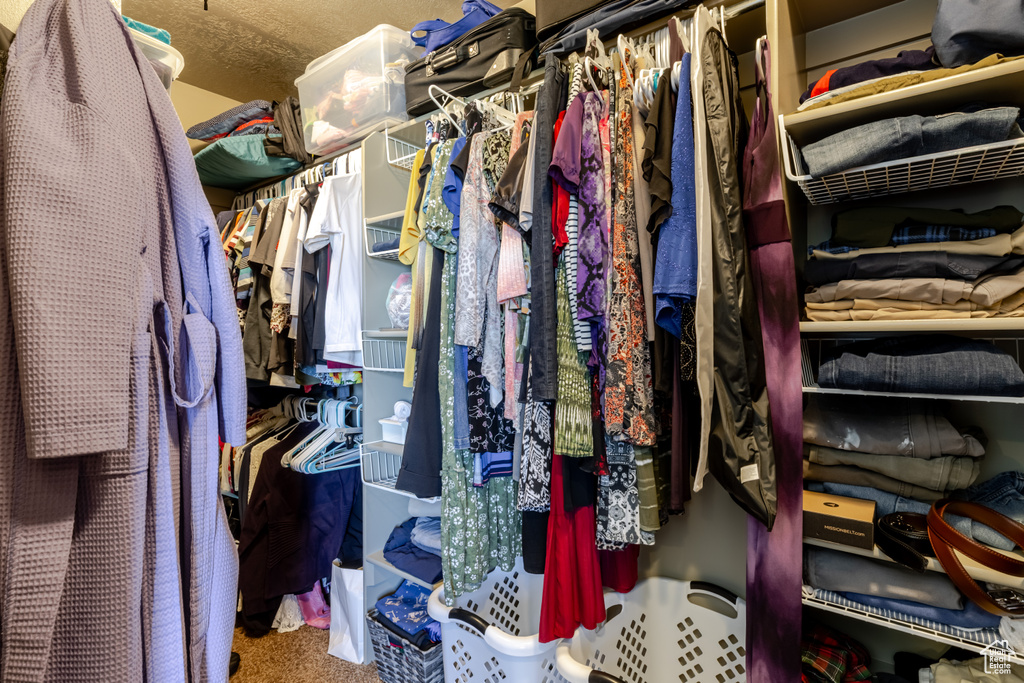 Spacious closet featuring carpet
