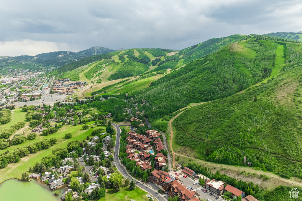 Drone / aerial view of a water and mountain view