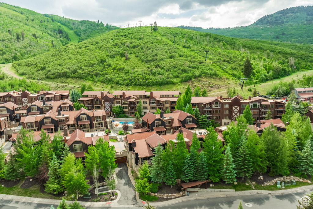 Aerial view of a mountainous background and a forest