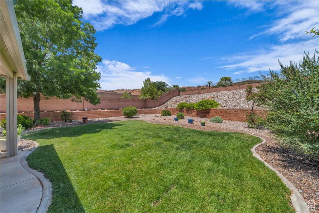 View of fenced backyard