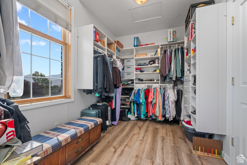 Spacious closet with attic access and light wood-style floors