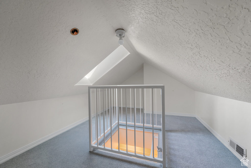 Additional living space featuring a textured ceiling, lofted ceiling, carpet floors, and a skylight