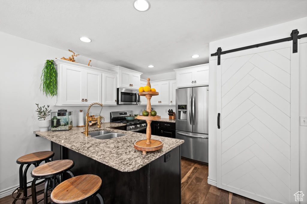 Kitchen with appliances with stainless steel finishes, a peninsula, dark wood-style floors, white cabinetry, and a barn door