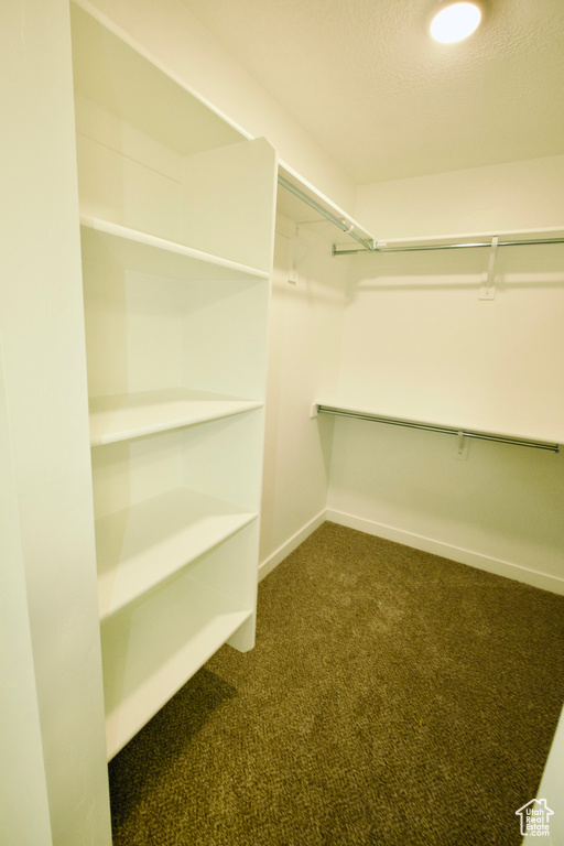 Spacious closet with dark colored carpet