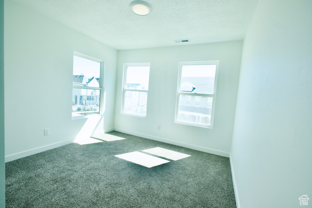 Unfurnished room featuring carpet, plenty of natural light, and a textured ceiling