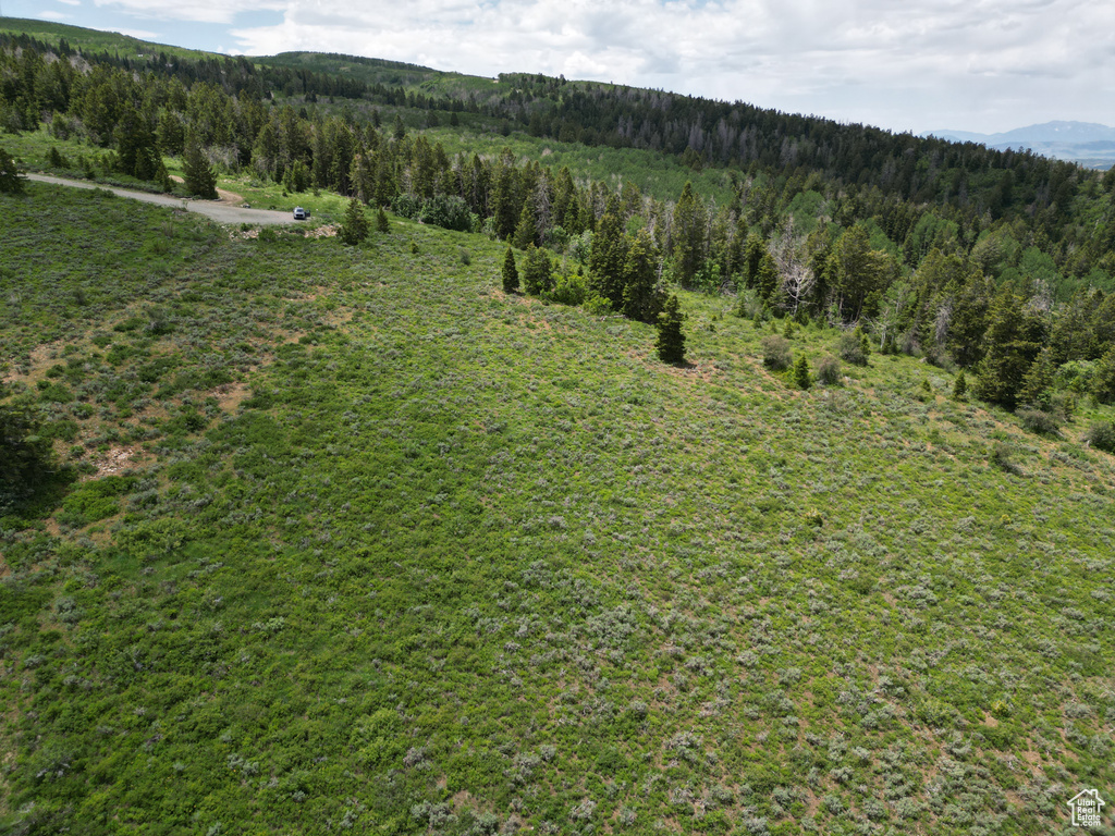 17528 S WOLF CREEK CIR Spanish Fork, UT 84660