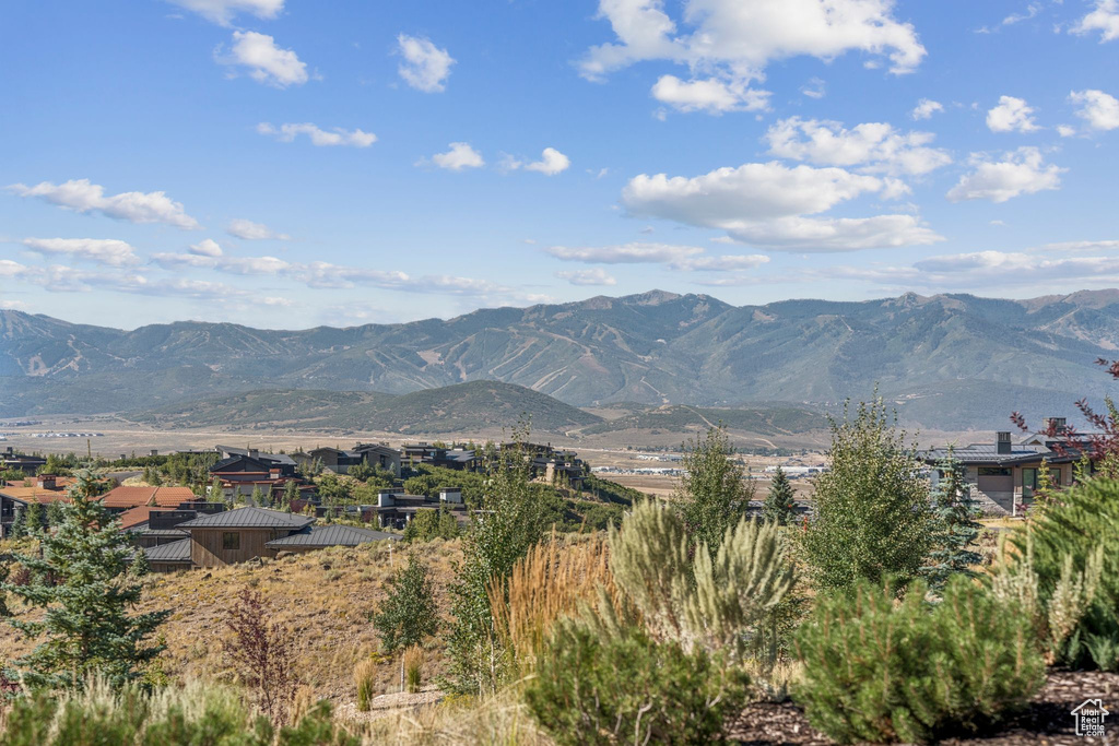 Photo 4 for MLS #2096200 at 9021 N Promontory Ridge Rd #43