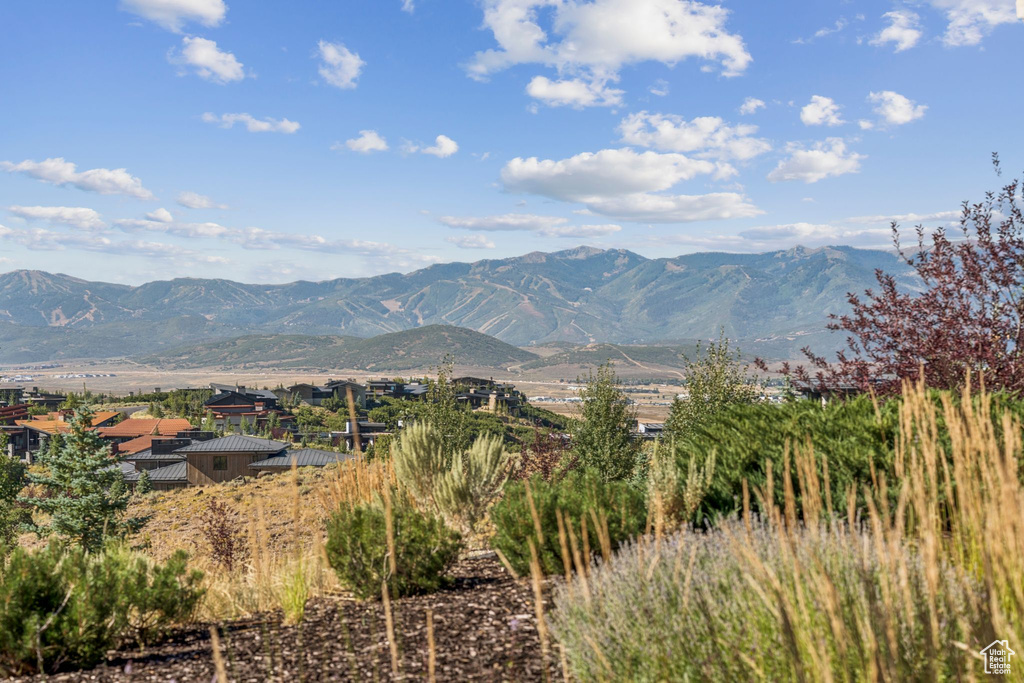 Photo 3 for MLS #2096200 at 9021 N Promontory Ridge Rd #43