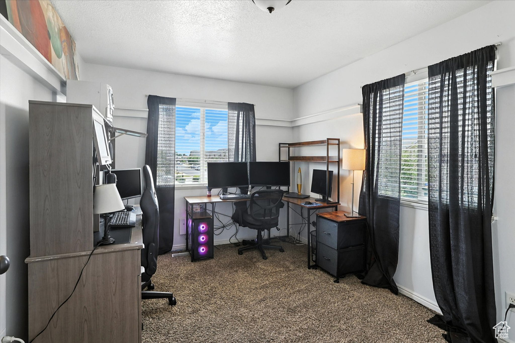 Carpeted office featuring baseboards and a textured ceiling