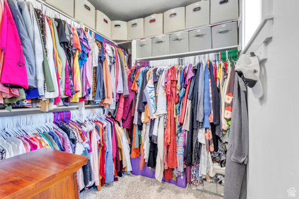 Walk in closet featuring carpet