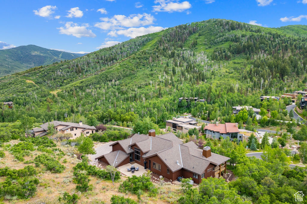 View of mountain backdrop with a heavily wooded area