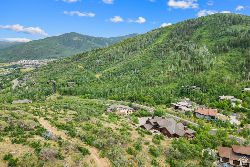 View of mountain background with a forest