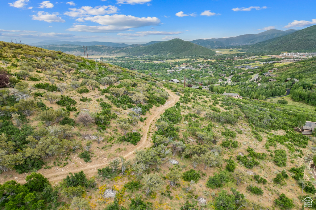 View of mountain background