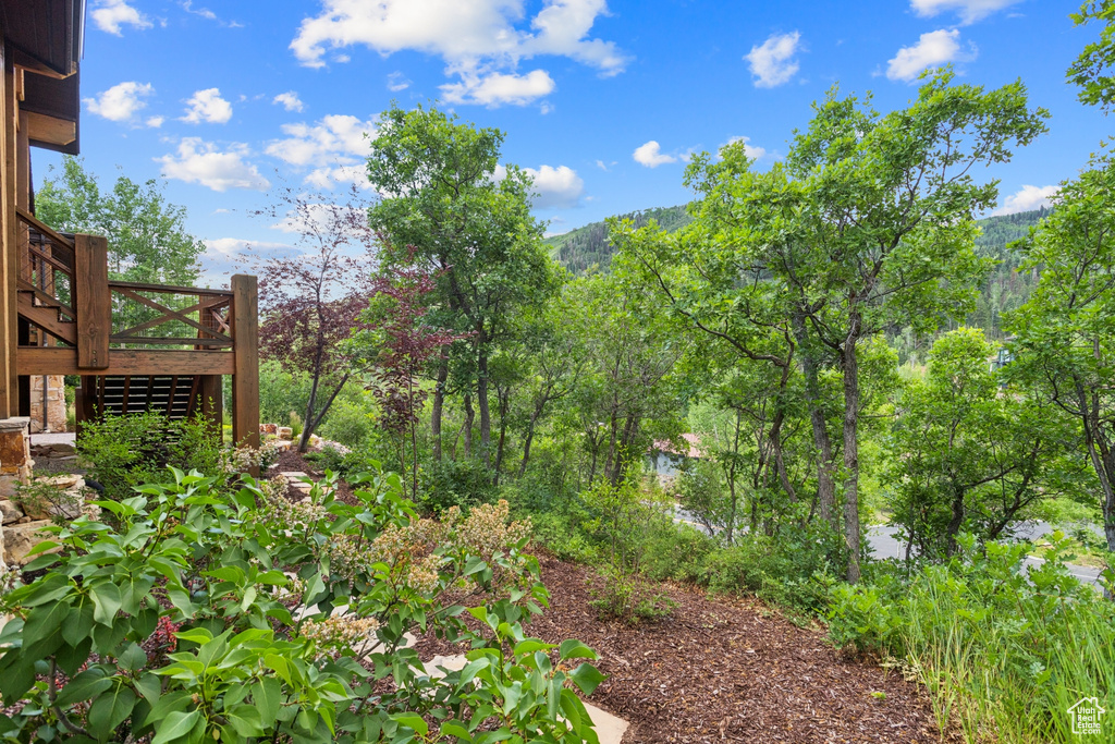 View of yard featuring a deck