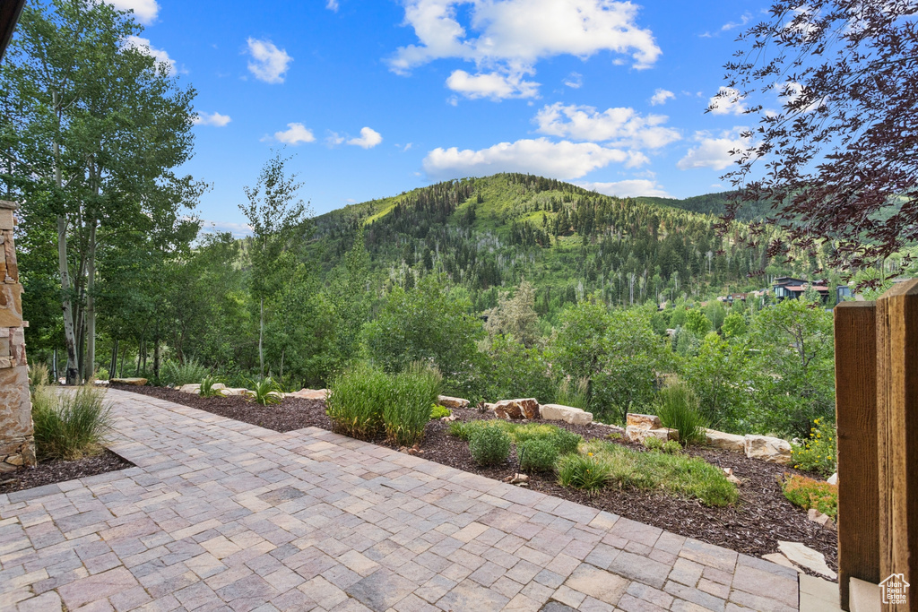 View of mountain backdrop with a forest