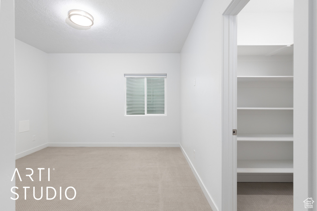 Bonus room featuring carpet