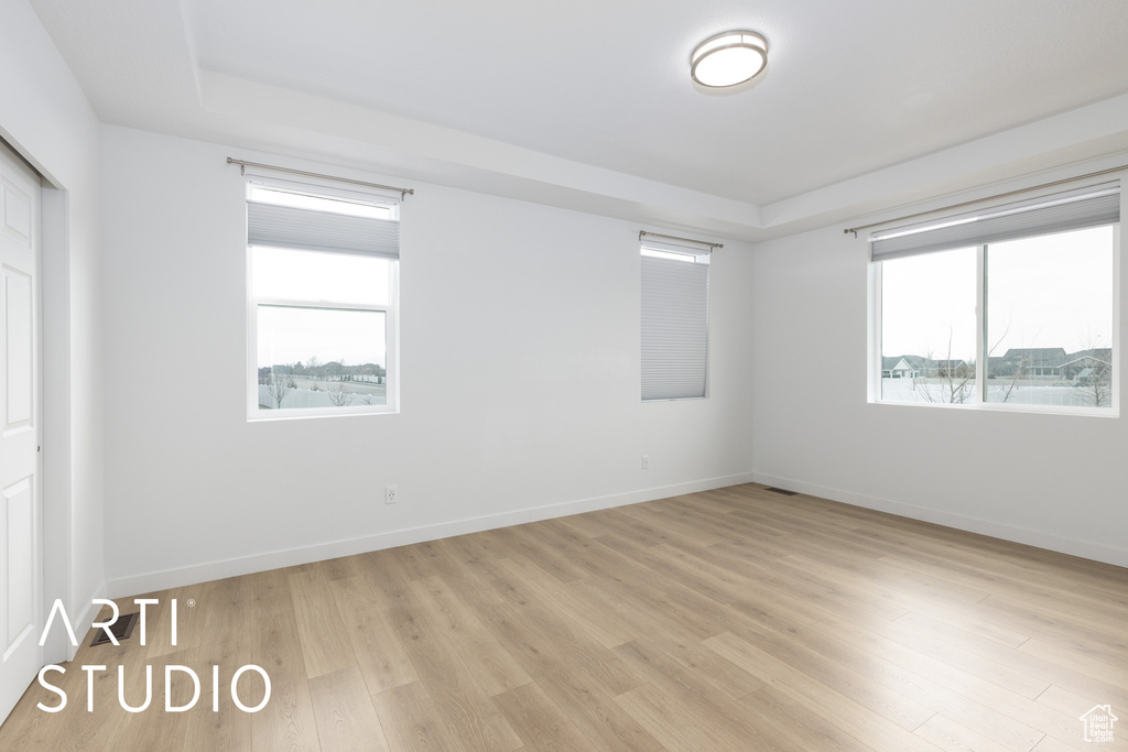 Unfurnished room with healthy amount of natural light, light wood finished floors, and a raised ceiling