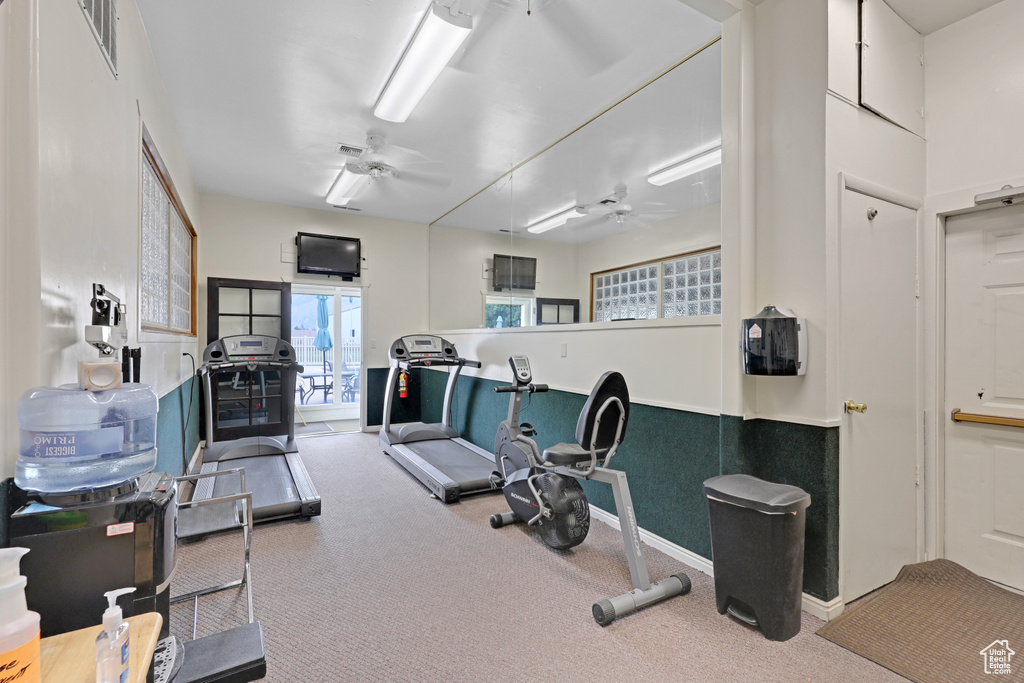 Workout area featuring carpet flooring and a ceiling fan