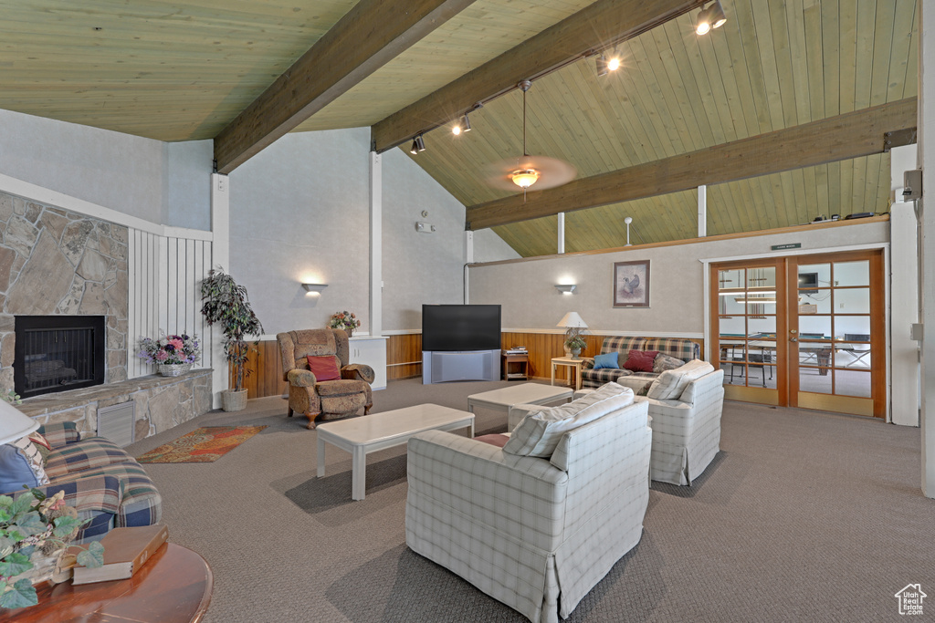 Living area featuring rail lighting, carpet, a wainscoted wall, a stone fireplace, and a wooden ceiling with exposed beams