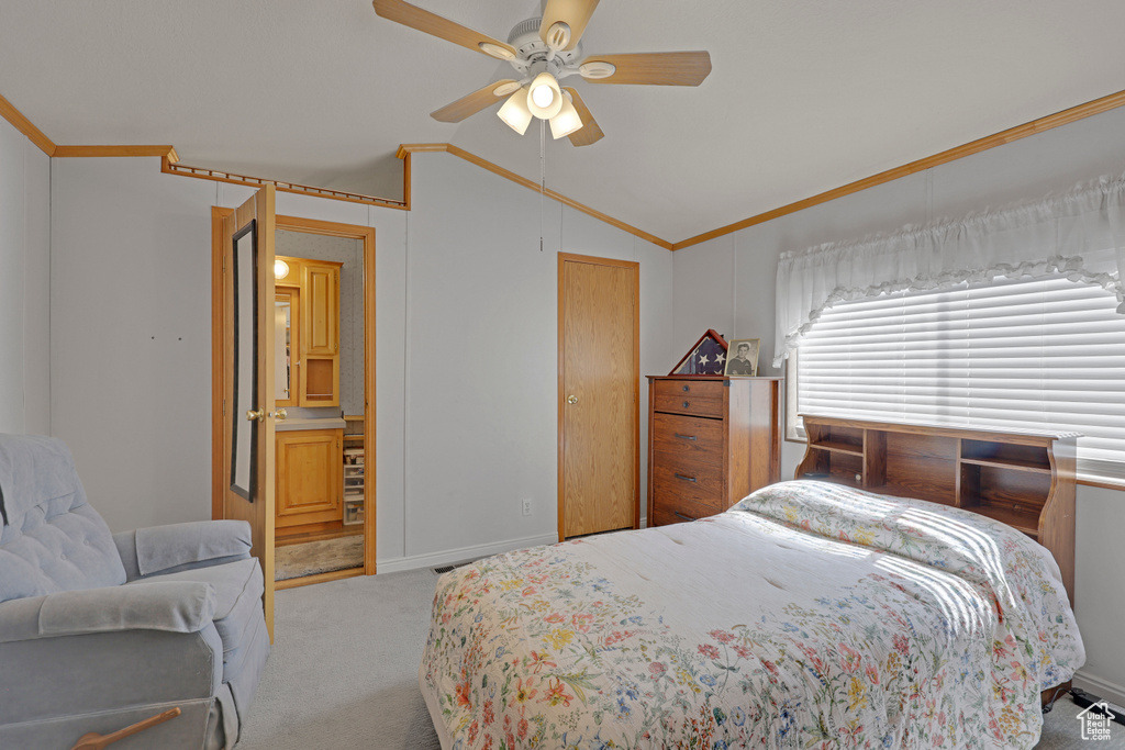 Bedroom with lofted ceiling, ornamental molding, carpet, ceiling fan, and a closet
