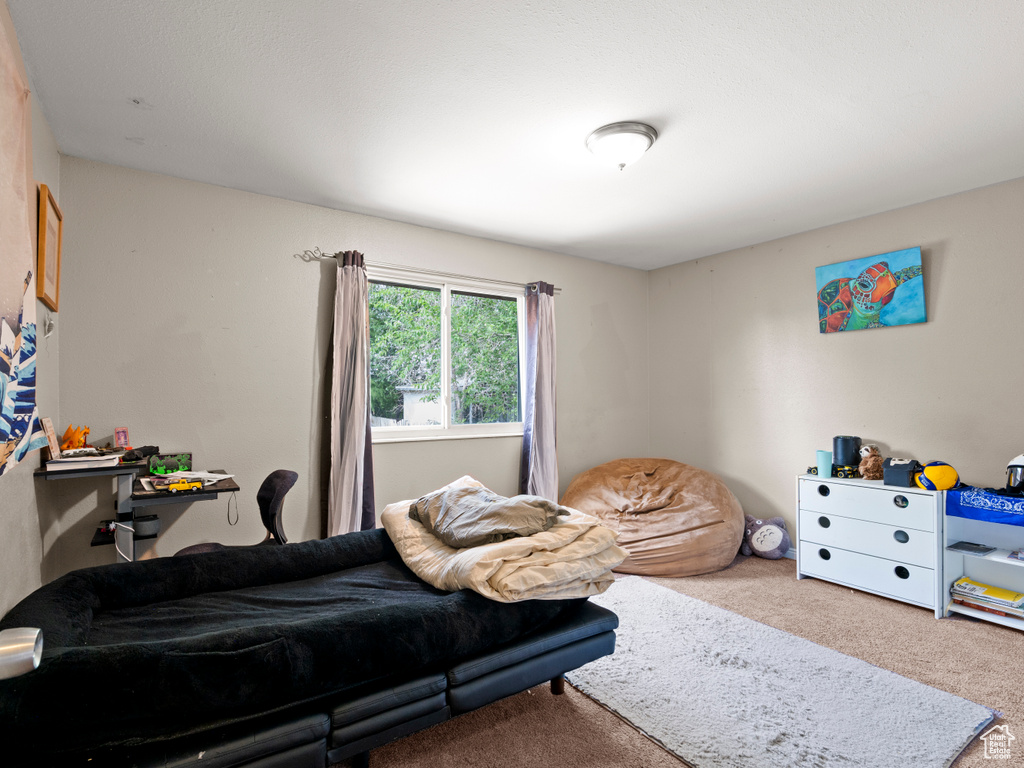 Bedroom featuring carpet floors