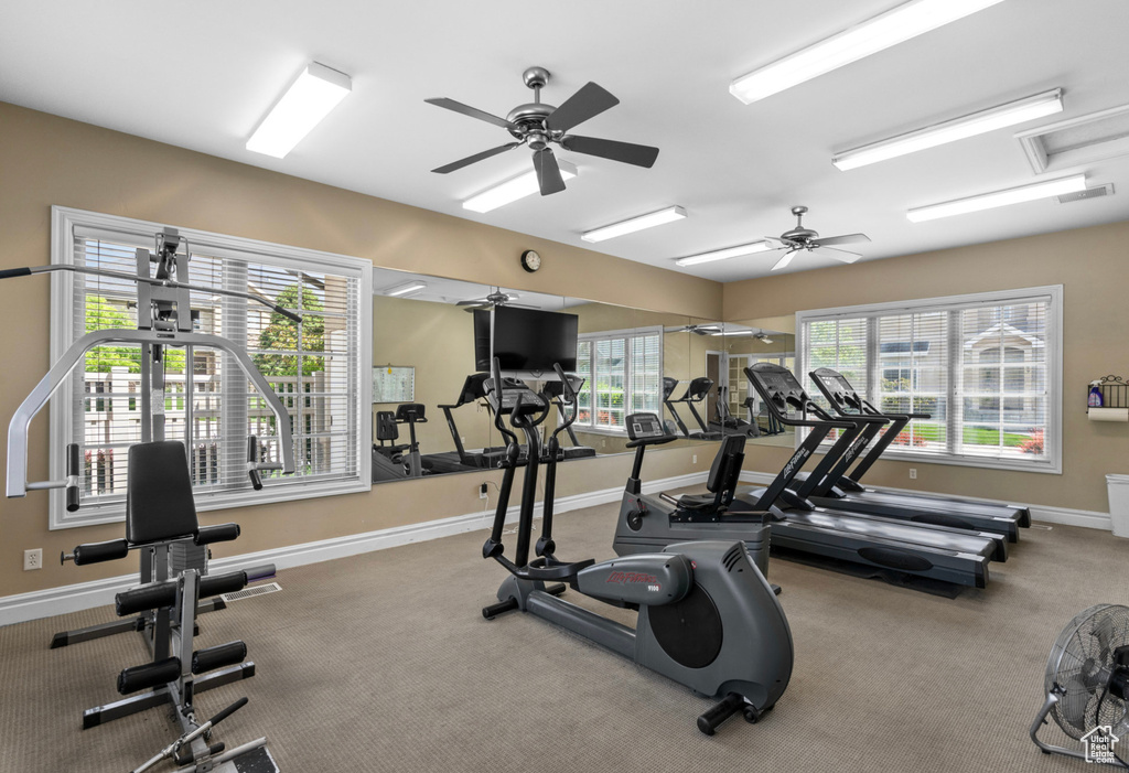 Gym with a ceiling fan and carpet floors