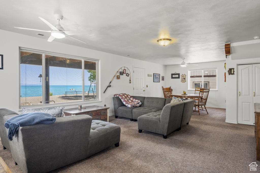 Living room with ceiling fan and carpet