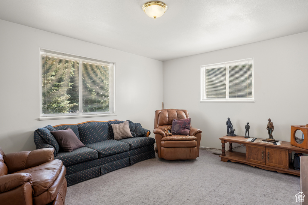 Living room with carpet floors