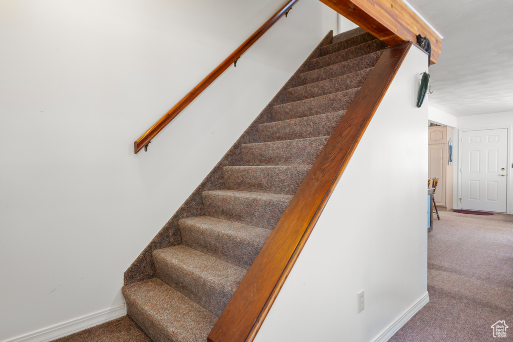 Stairs with carpet and baseboards