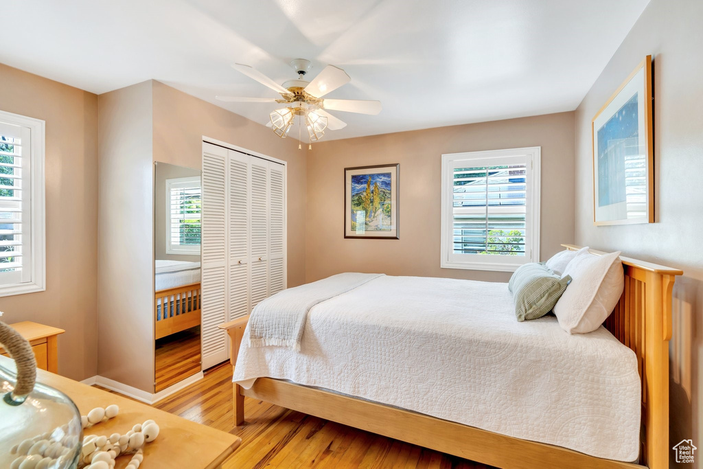 Bedroom with light wood-style floors, multiple windows, and a closet
