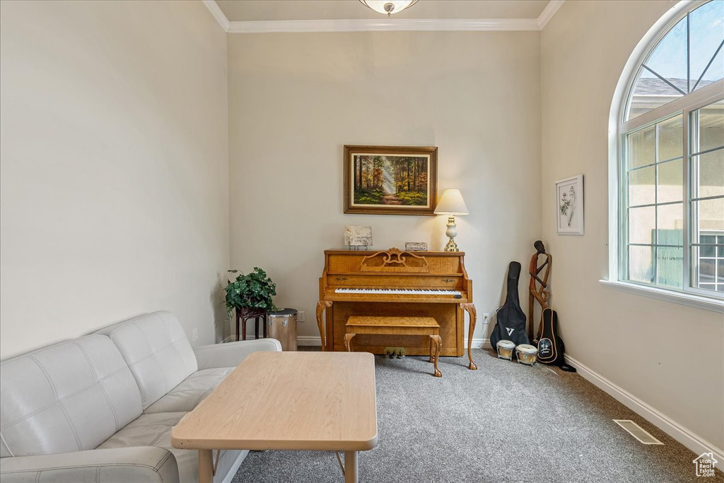 Living area featuring carpet and crown molding