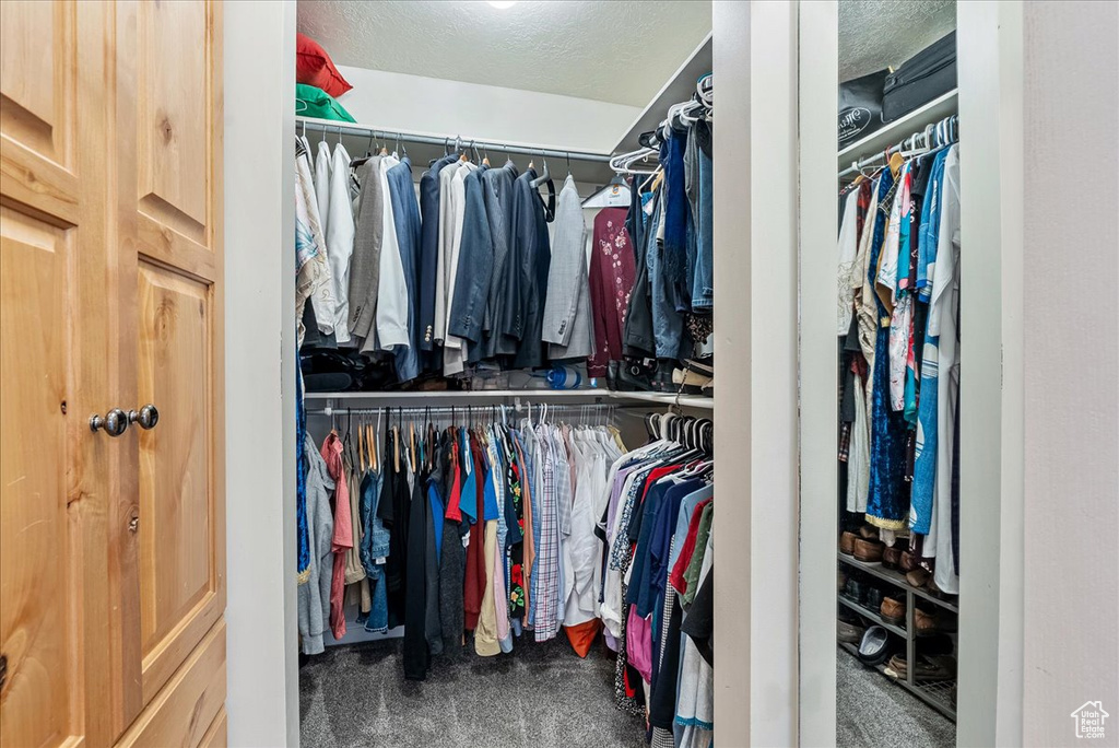 Walk in closet featuring carpet flooring