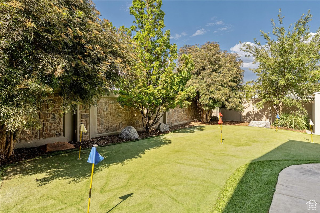 Fenced backyard featuring a putting green