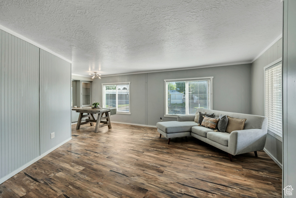 Living area featuring ornamental molding, dark wood-style flooring, and a textured ceiling