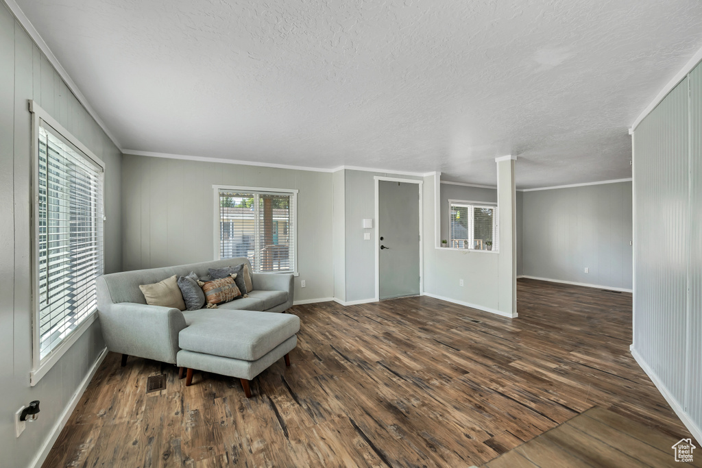 Living area with crown molding, dark wood finished floors, and a textured ceiling