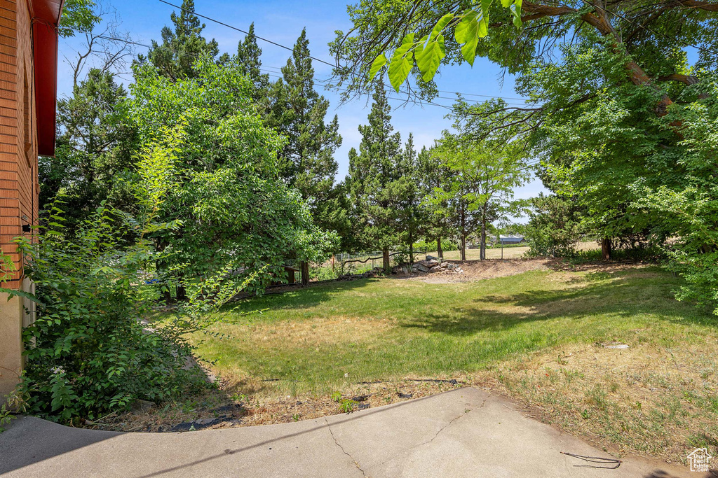 View of grassy yard