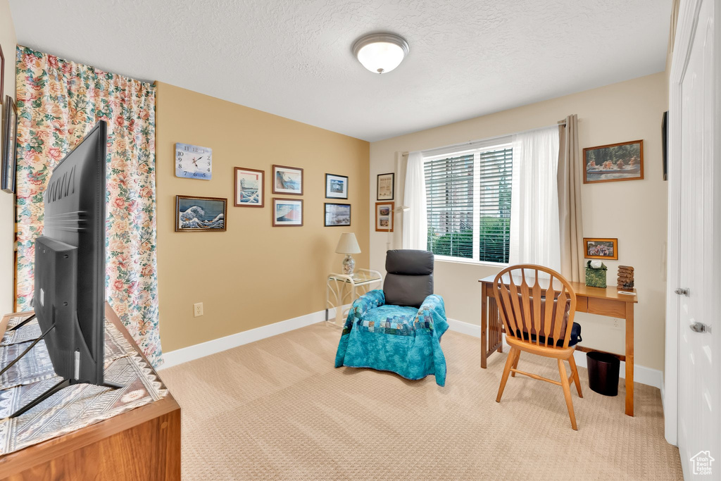 Living area featuring carpet, an office area, and a textured ceiling