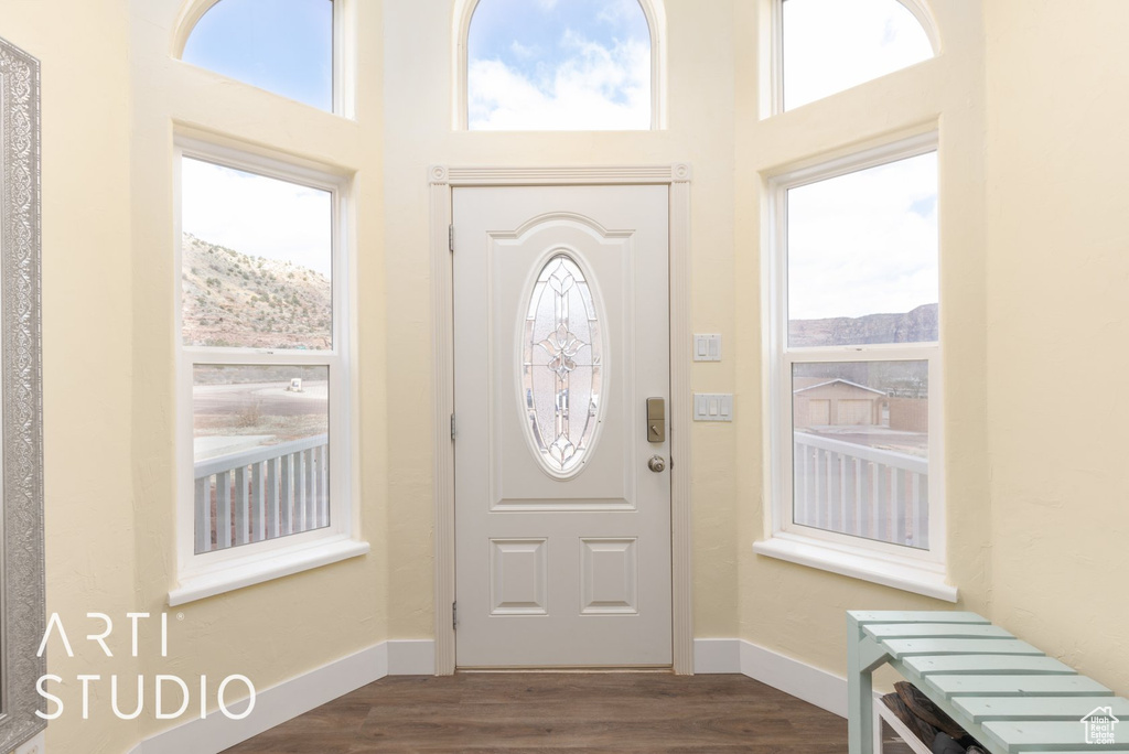 Foyer with plenty of natural light, dark wood-style floors, a mountain view, and a towering ceiling