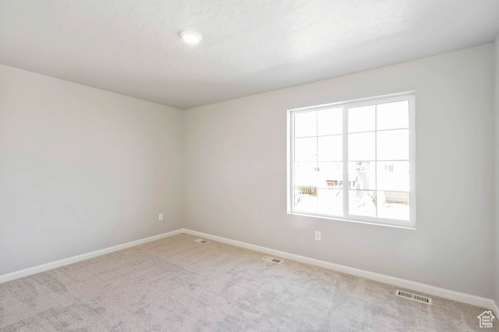 Spare room featuring plenty of natural light and carpet flooring