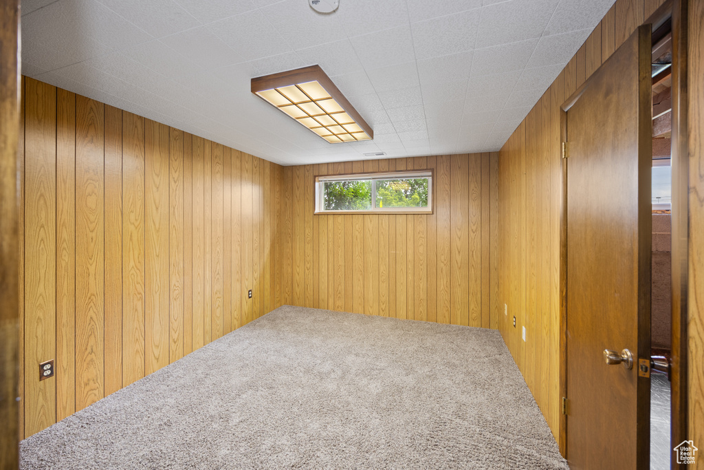 Below grade area featuring carpet flooring and wood walls