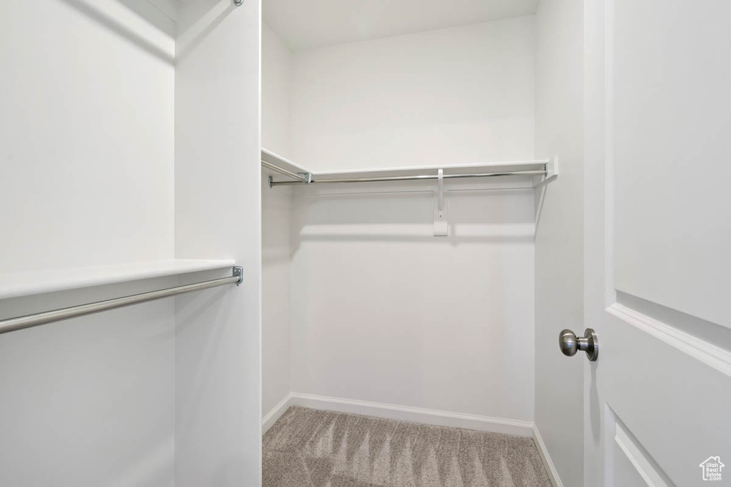 Spacious closet featuring carpet