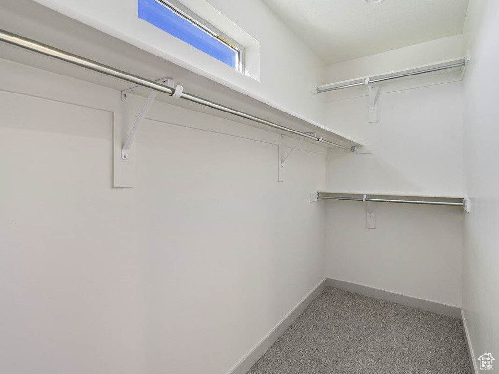 Walk in closet featuring carpet floors