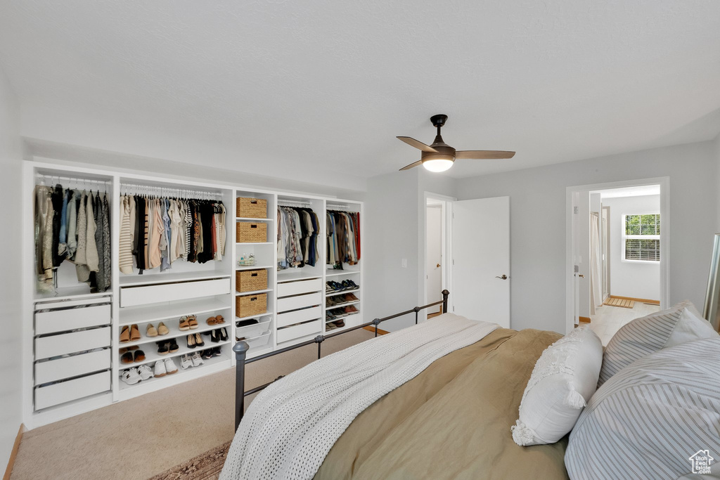 Carpeted bedroom with ceiling fan
