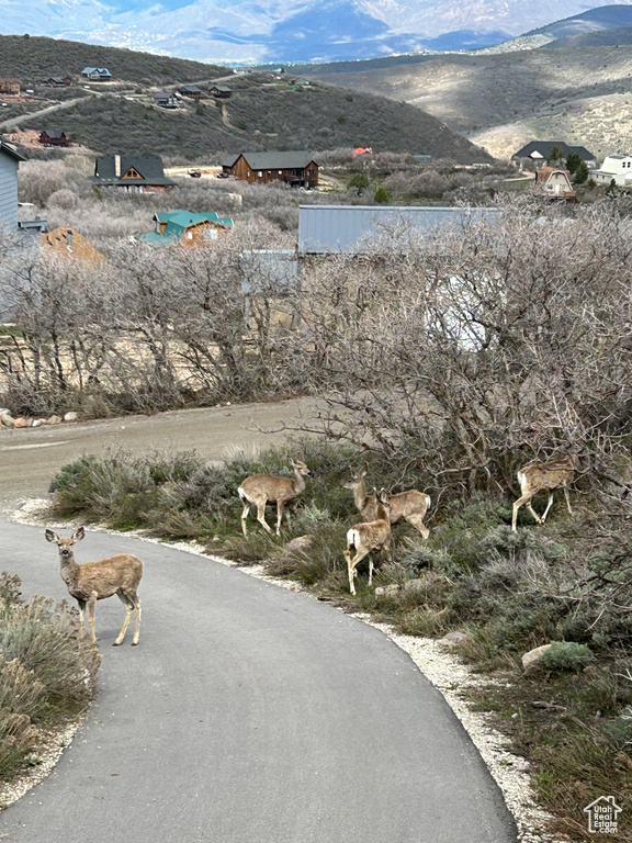 Mountain view