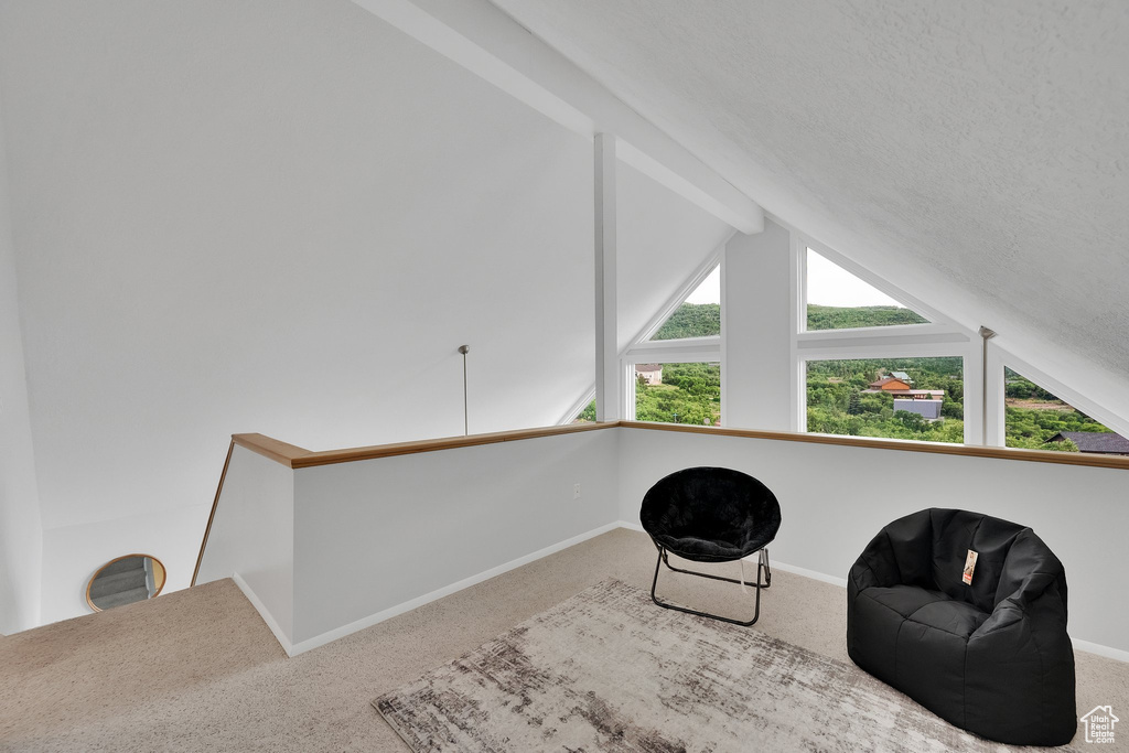 Living area with carpet flooring